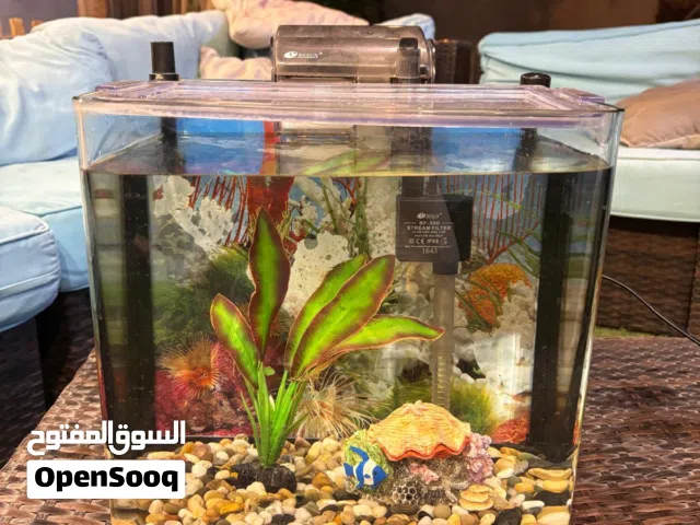 حوض سمك/سلحفاة متوسط الحجم استخدام بسيط
