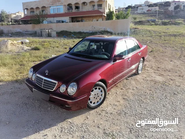 قرش ونص 2001