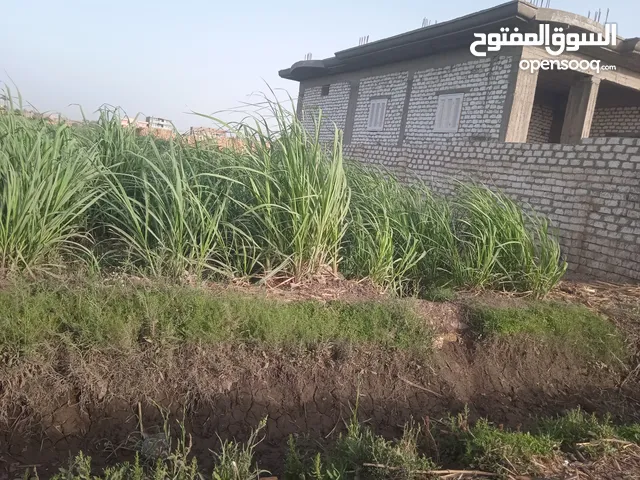 Mixed Use Land for Sale in Qena Abu Tisht