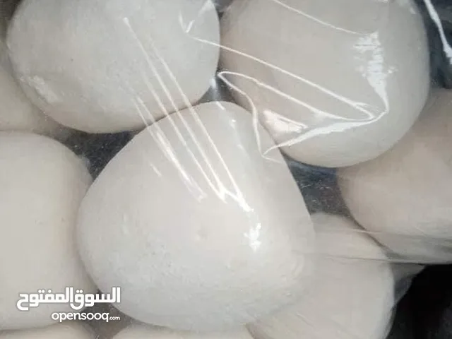 جميد كركي النخب الاول من الكرك