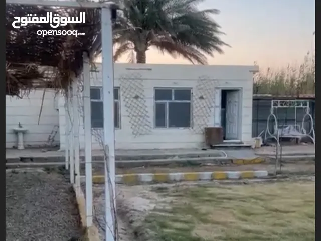 Farm Land for Sale in Karbala Other