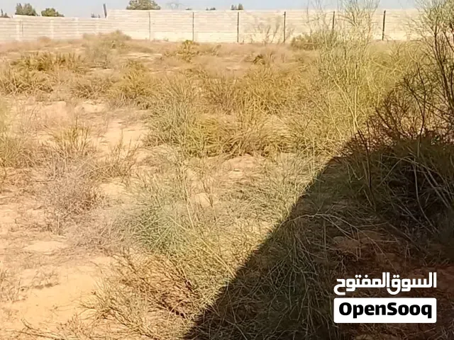 Mixed Use Land for Sale in Tripoli Wadi Al-Rabi