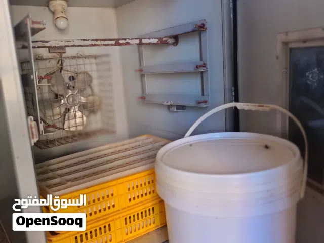 فقاست  البلدة  أمورها طيبه