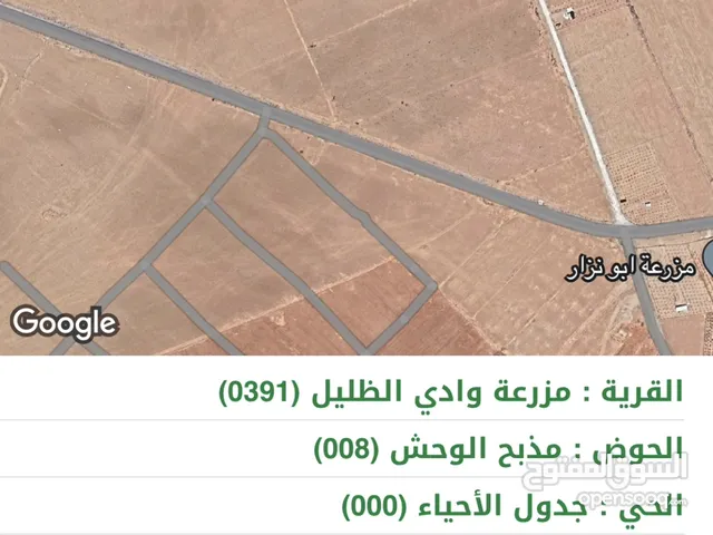 Farm Land for Sale in Zarqa Other