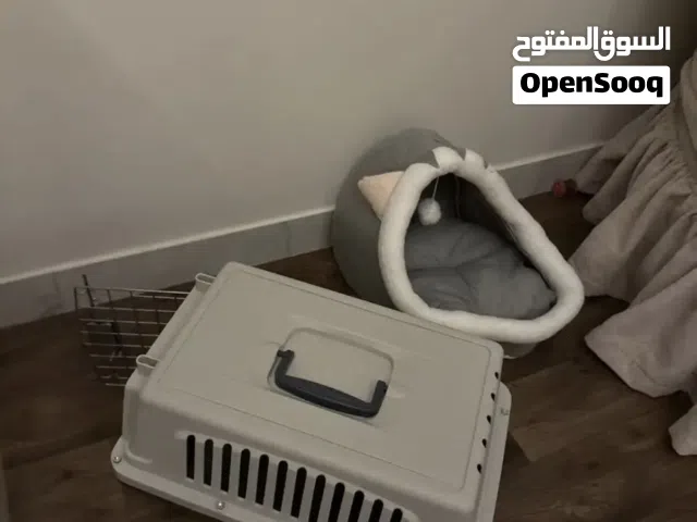مستلزمات قطه