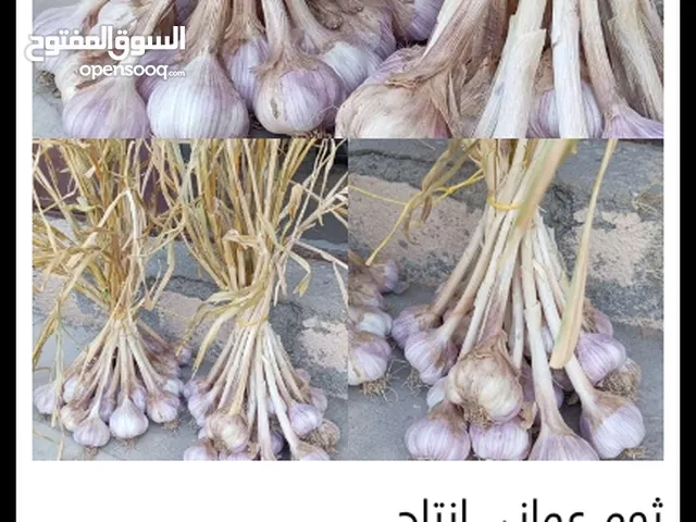 ثوم عماني إنتاج السنة