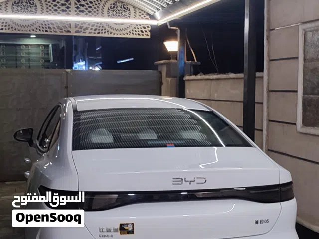 2025 بي واي دي سيل