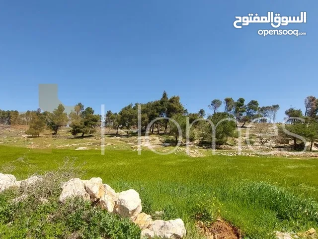 ارض سكنية للبيع في طريق المطار - البويظة قرب نادي الجواد بمساحة 4080 م