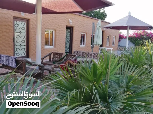 Studio Chalet for Rent in Al Batinah Suwaiq