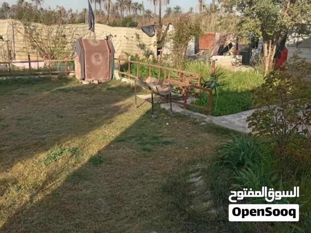Farm Land for Sale in Karbala Other