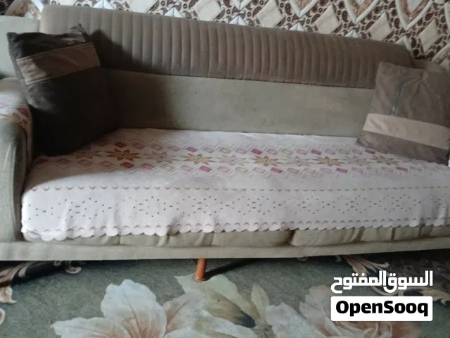 تخم قنفات تركي