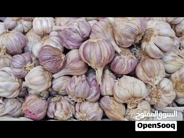 ثوم عماني جديد أنتاج 2026