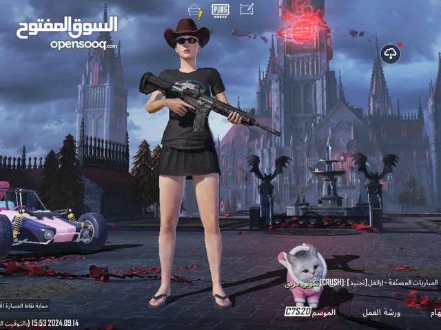 Pubg Accounts and Characters for Sale in Basra