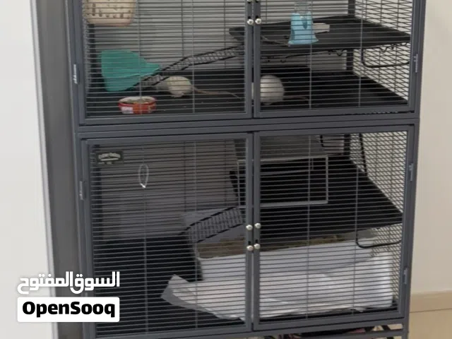 قفص كبير للبيع