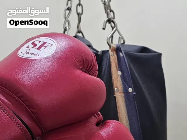 كيس ملاكمه مع قفازات