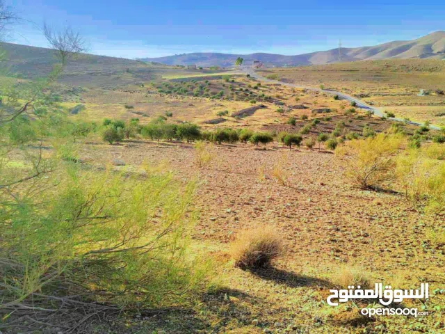 Farm Land for Sale in Zarqa Birayn