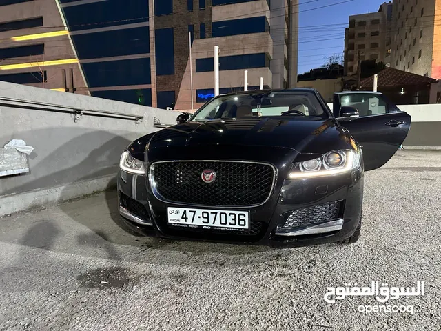 Jaguar XF 2017 in Amman