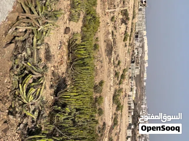 Residential Land for Sale in Taiz Al-Ta'iziyah Directorate