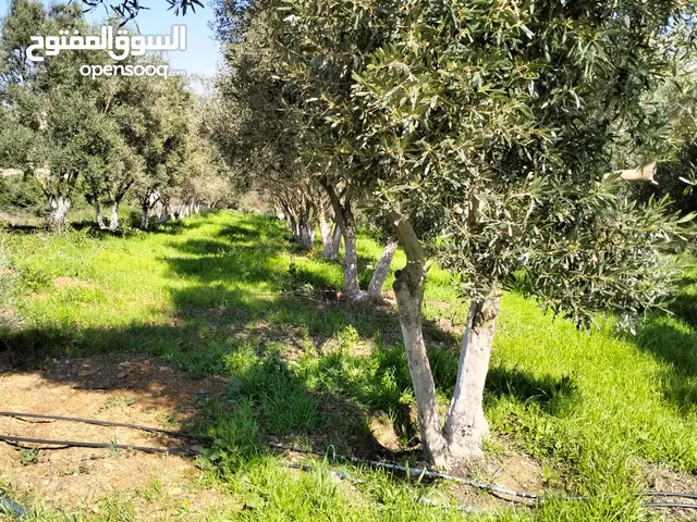 3 Bedrooms Farms for Sale in Casablanca Other