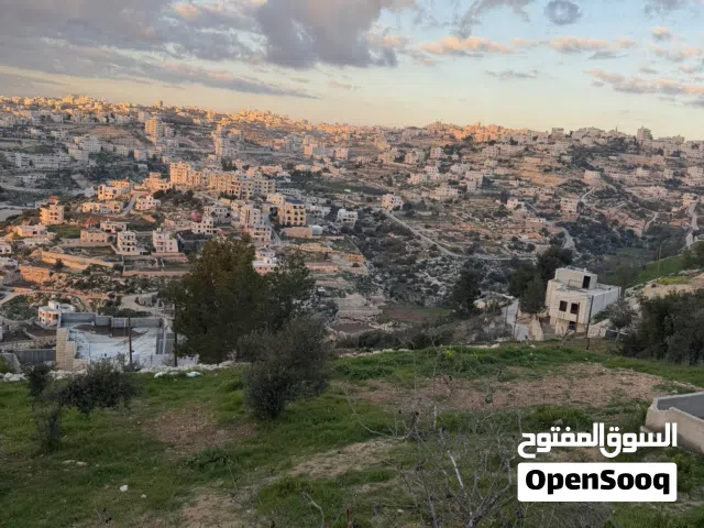 Residential Land for Sale in Hebron Tapuah
