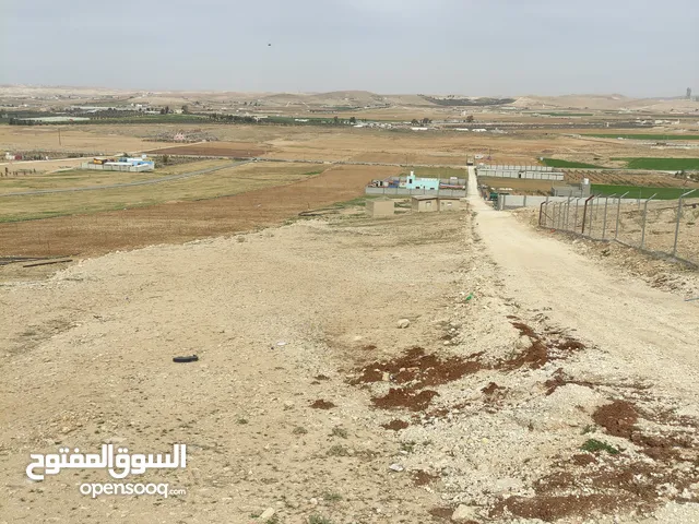 Farm Land for Sale in Mafraq Al-Khirba Al-Samra