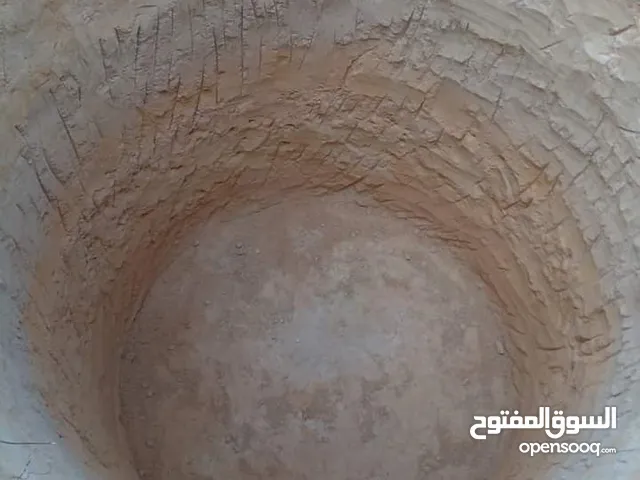 فواني ابيار سوداء