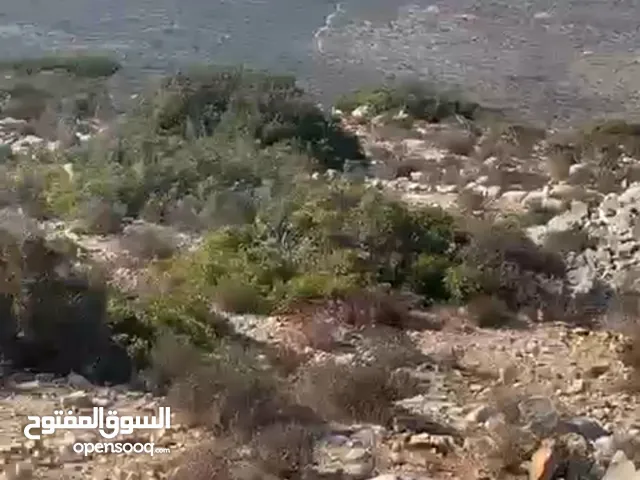 Residential Land for Sale in Ramallah and Al-Bireh Birzeit