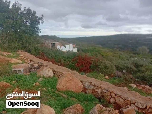 ارض زراعيه