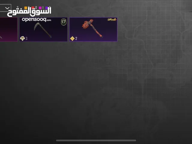 Pubg Accounts and Characters for Sale in Irbid