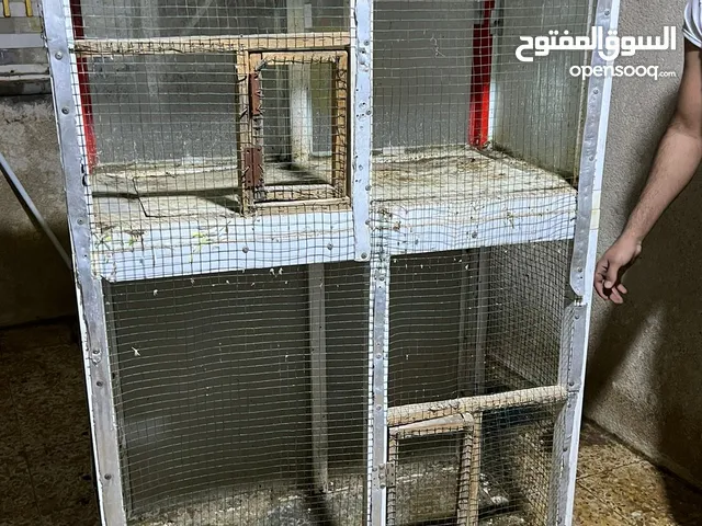 اقفاص +كرسي +سنك