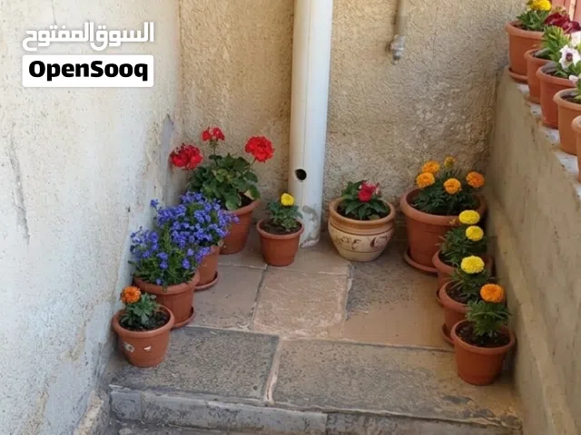 شقة مفروشة للايجار على رئيسي
