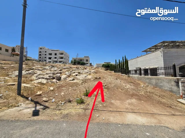 Residential Land for Sale in Amman Shafa Badran