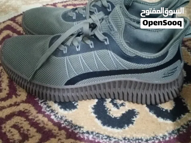 بوت رياضه سكتشر