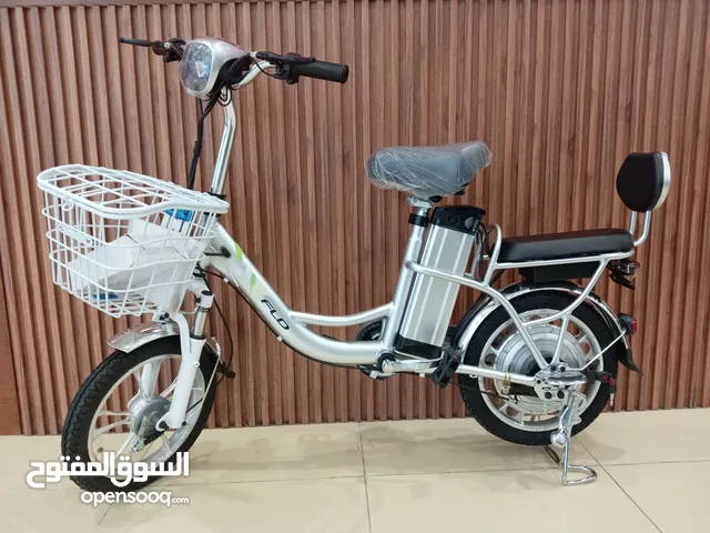 E-BIKE 48V