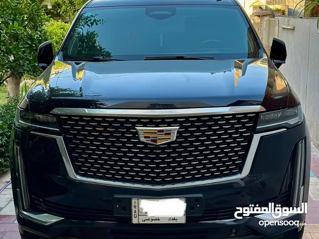 New Cadillac Escalade in Baghdad