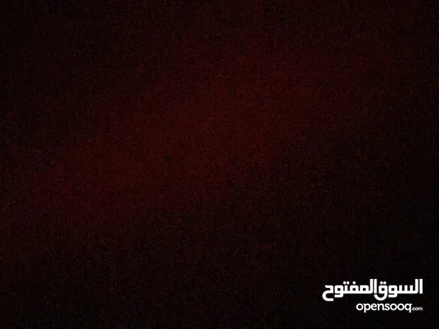 rawand nael albadareen