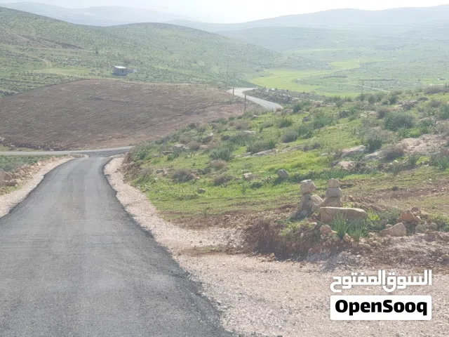 Farm Land for Sale in Mafraq Dahl