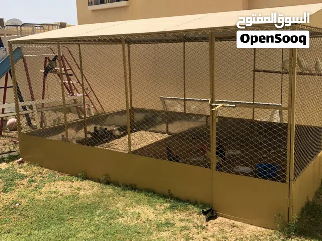 قفص كبير جداً 4x4 متر ممتاز خالي من اي عيوب يتسع ل اشخاص كبار نفس الغرفه من كثر ماهو كبير