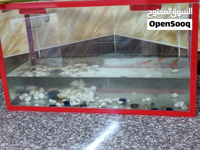 حوض سمك. للبيع 70/40