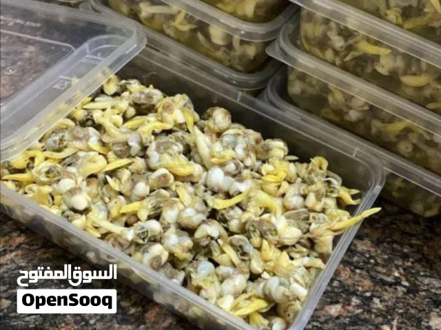 اكله بحريه اسمهاا الدوك