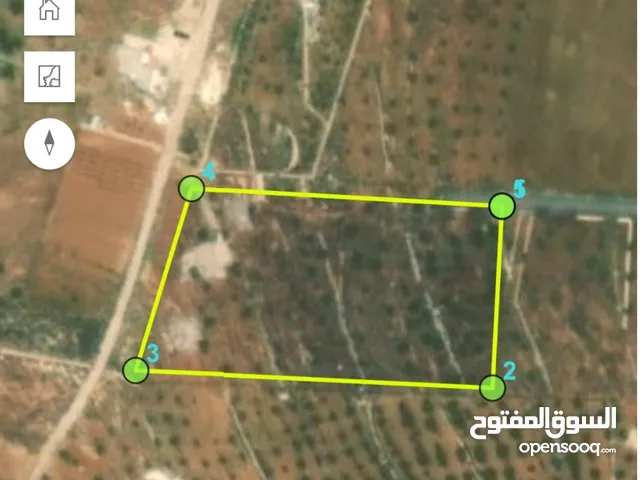 Mixed Use Land for Sale in Mafraq Al-Dajaniya