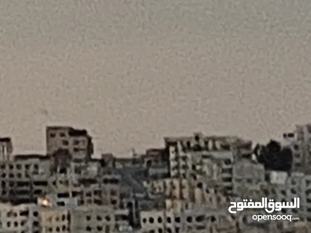 محمد عبيدات