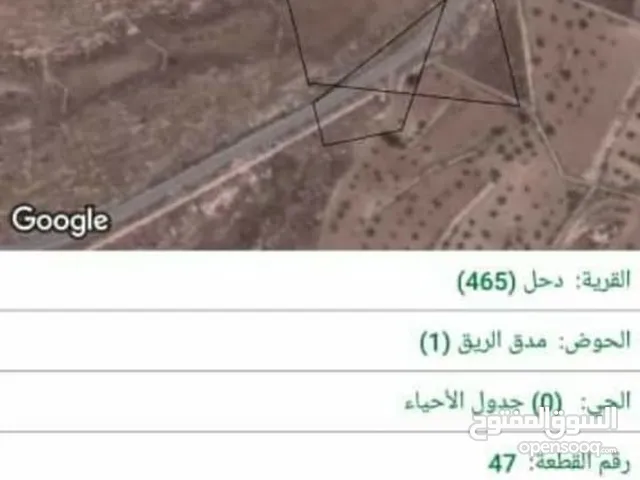 Mixed Use Land for Sale in Mafraq Dahl