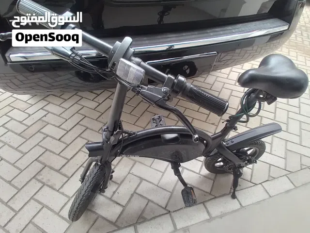 Electronic bicycle