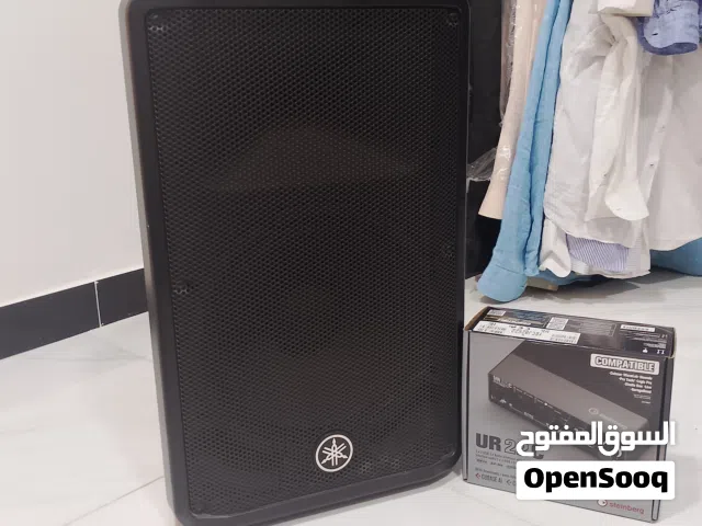 مكبر صوت و واجهة صَوتيَّة