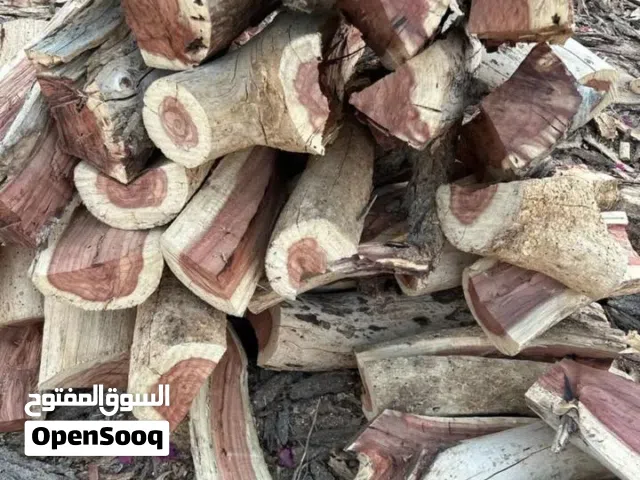 حطب مستورد انوع طلح