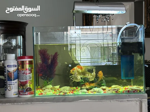 حوض سمك للبيع مع جميع أغراضه