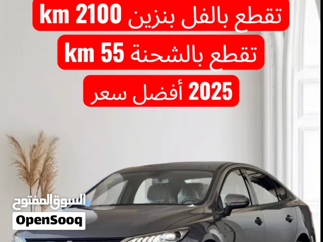 2025, بي واي دي, سيل