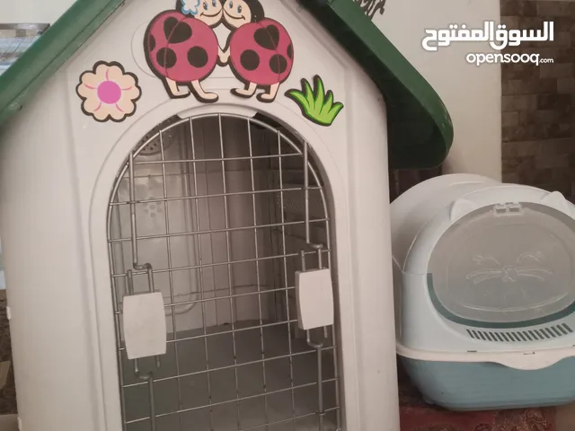 مستلزمات قطط