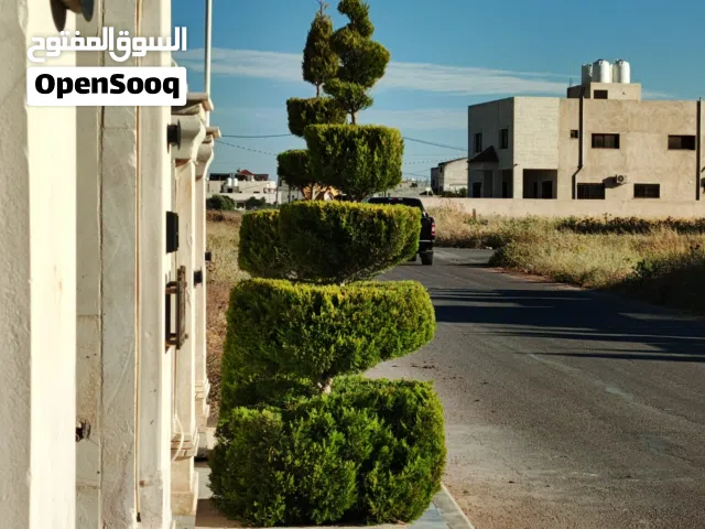 خبرة في اعمال اللاندسكيب وتنسيق الحدائق العامة والخاصة والمزارع وكل ما يخص الزراعة خطوة بخطوة